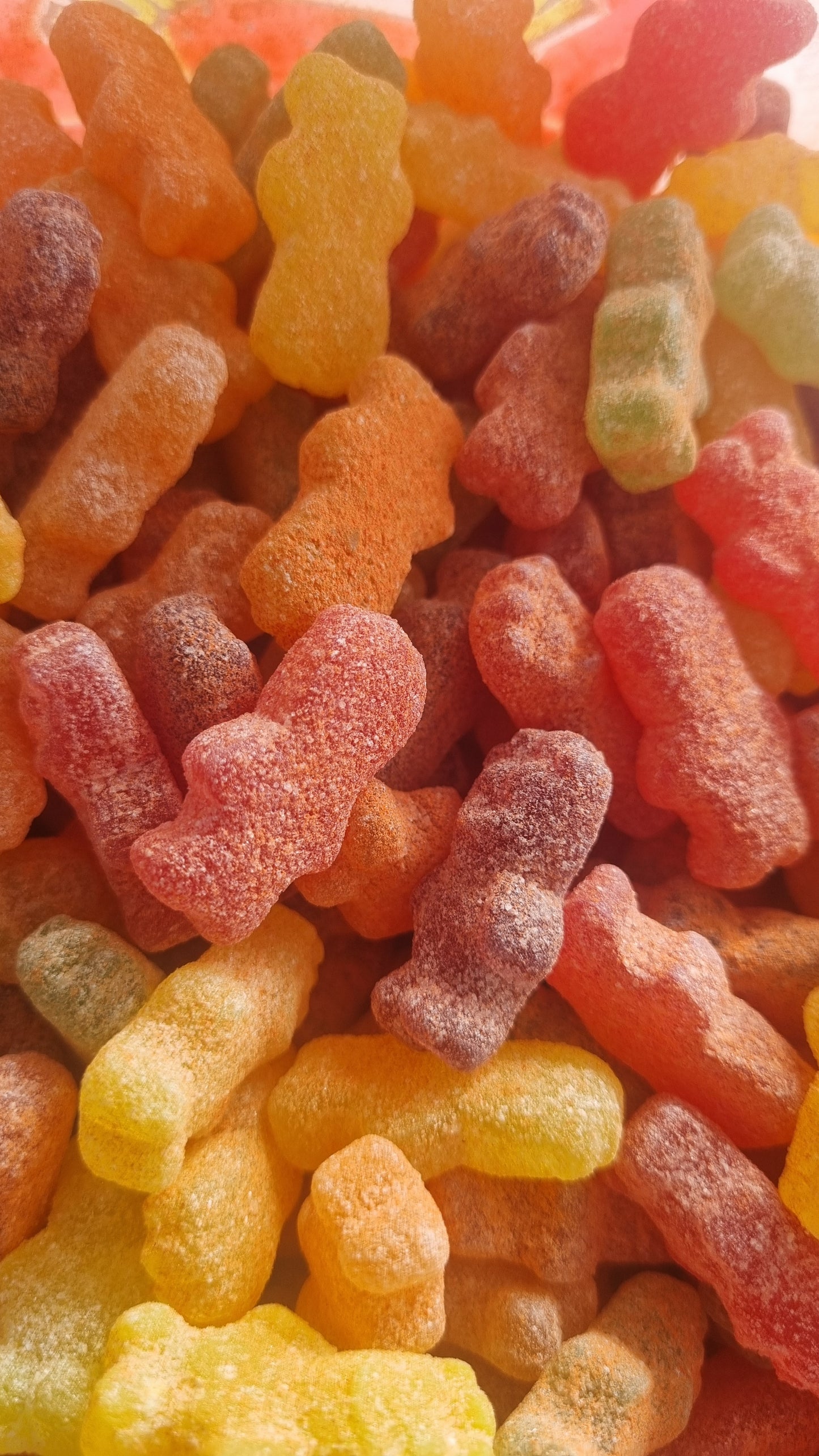 LI HING SOUR TEDDY BEARS