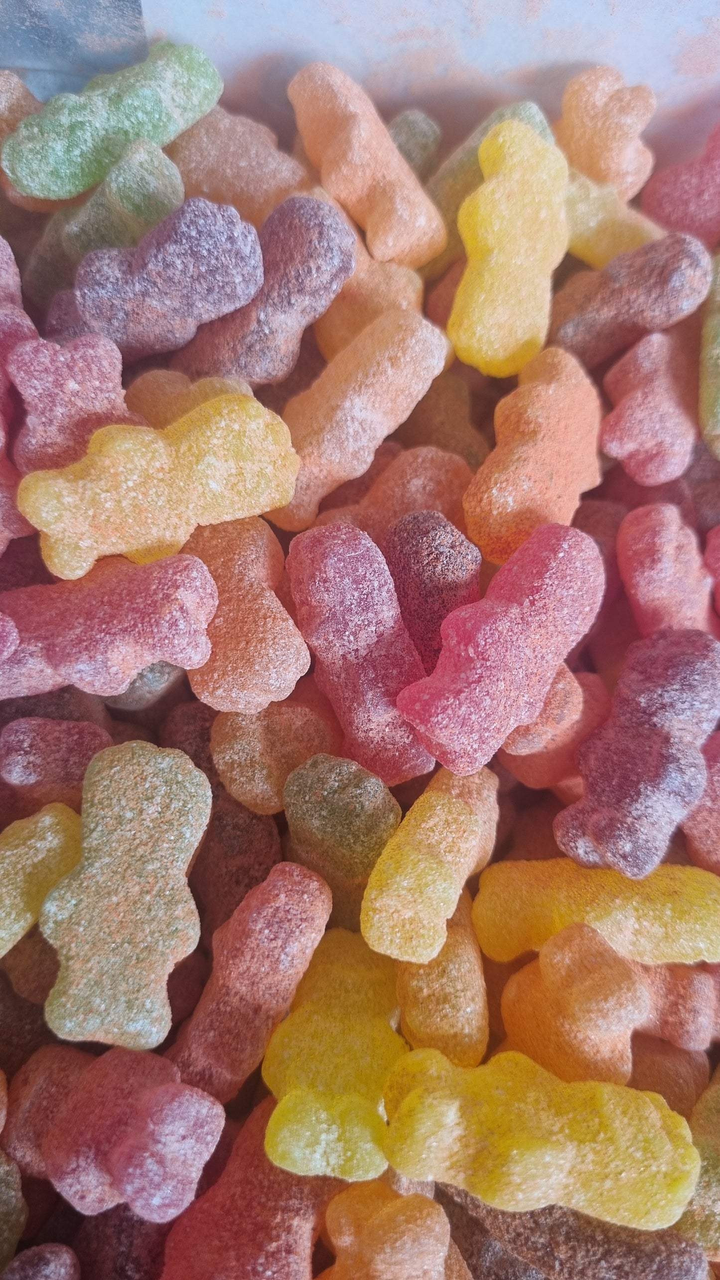 LI HING SOUR TEDDY BEARS